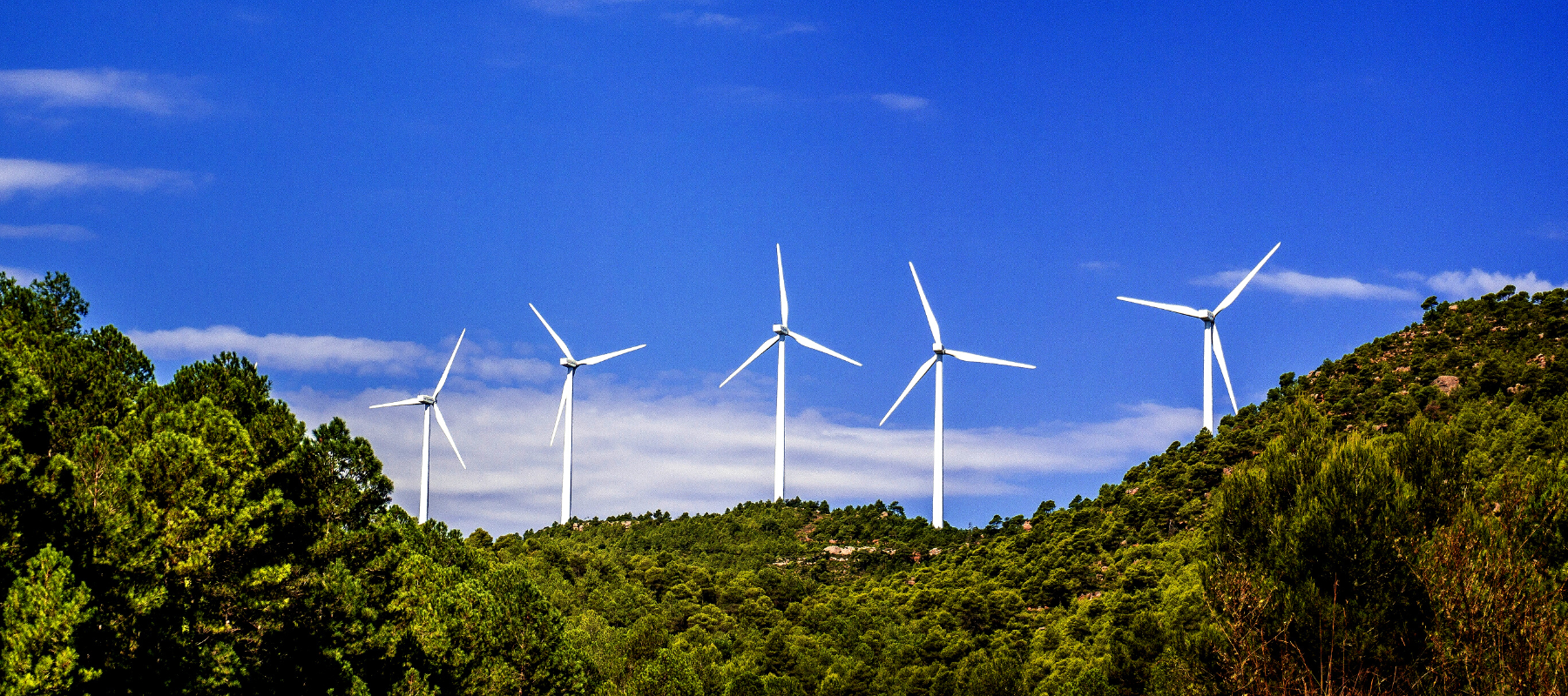 Climate Solutions Prize awards $1.3m to Israeli climate tech startups
